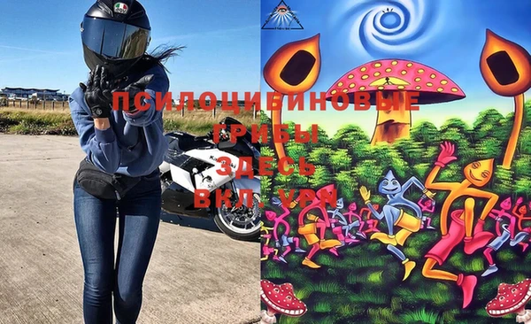 метадон Белокуриха