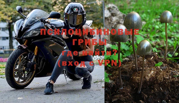 метадон Белокуриха