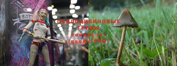 метадон Белокуриха